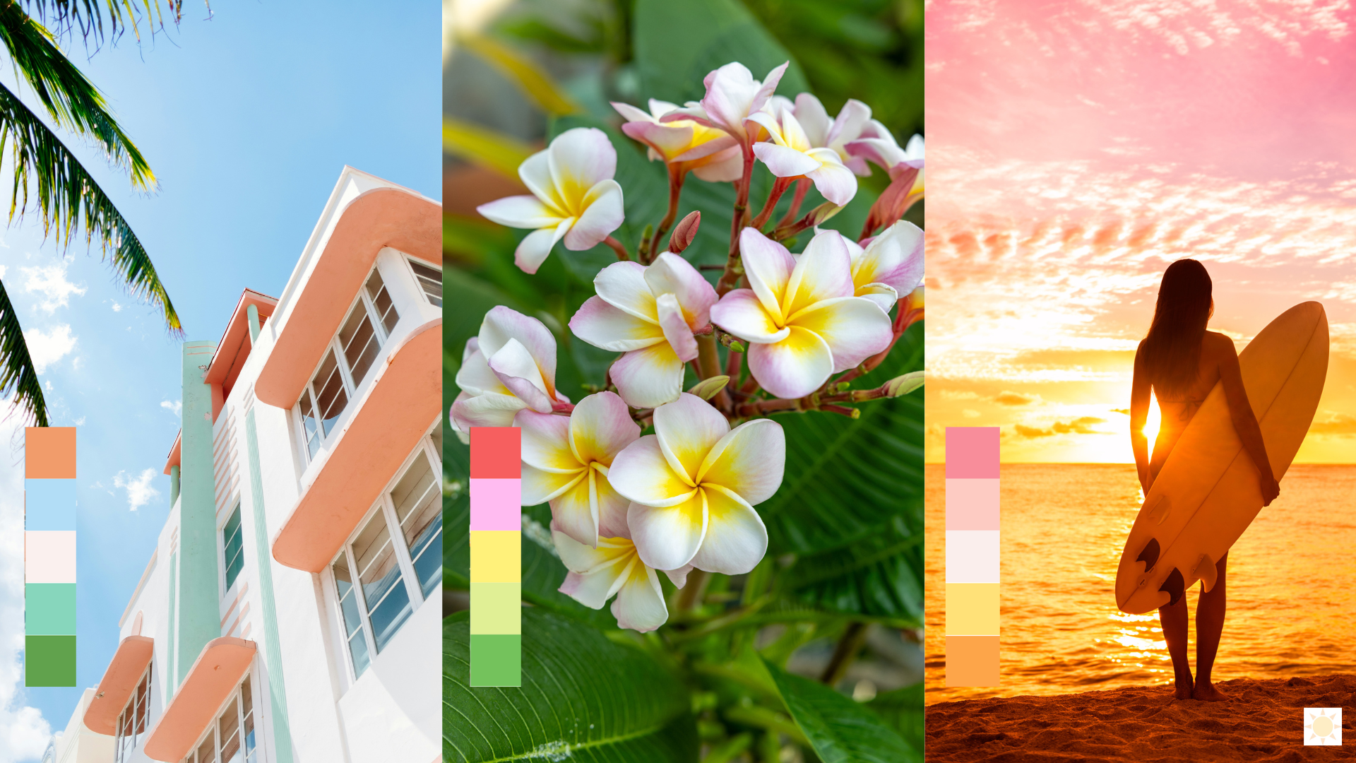 tropical color palettes