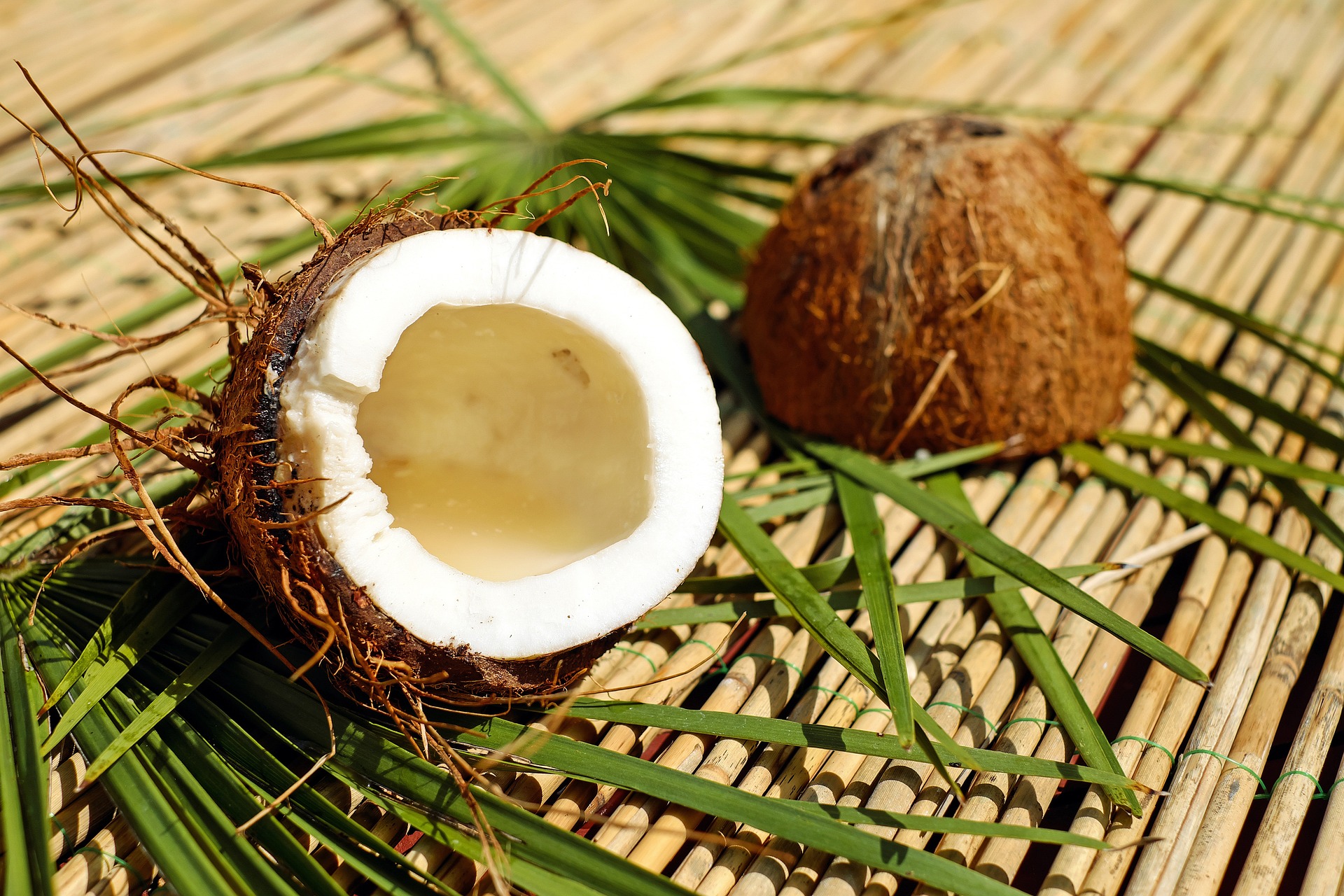 healthy coconut